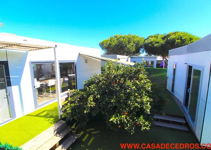 De Cedros Setúbal